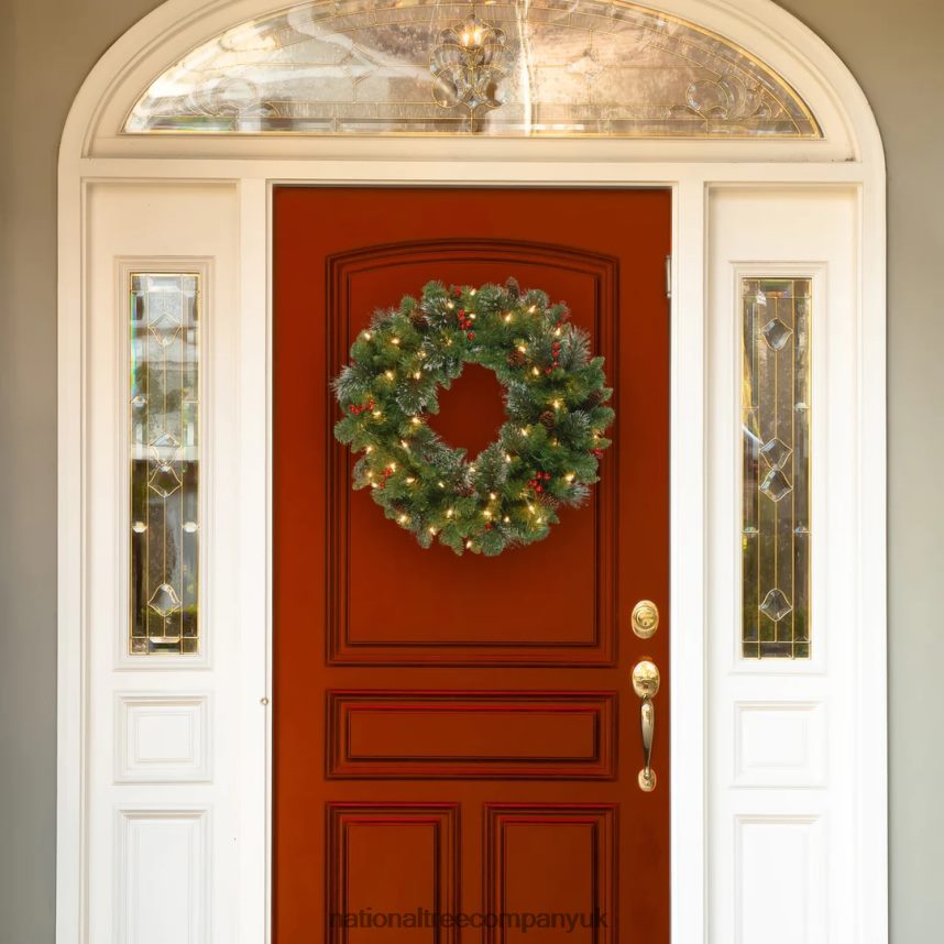 Greenery | National Tree Company Pre-Lit Artificial Christmas Wreath Green Crestwood Spruce White Lights Decorated with Pine Cones Berry Clusters Frosted Branches Christmas Collection 24 Inche